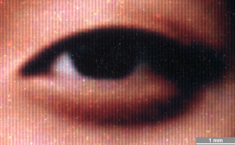<strong>#019</strong> ⎢ <strong>Process</strong> Dye Diffusion Thermal Transfer (D2T2)
⎢ <strong>Printer</strong> Shinko Color Stream (Dye Sublimation)
⎢ <strong>Media</strong> unknown (coated RC paper)
⎢ <strong>Ink</strong> unknown (ribbon, CMYK, dye based)
⎢ <strong>Date</strong> 1999-05-01