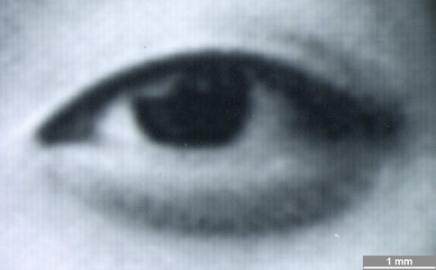 <strong>#068</strong> ⎢ <strong>Process</strong> Dye Diffusion Thermal Transfer (D2T2)
⎢ <strong>Printer</strong> Kodak Digital Science 8650 (Dye Sublimation)
⎢ <strong>Media</strong> Kodak Electronic Imaging Paper (coated RC paper)
⎢ <strong>Ink</strong> Kodak Dye Sublimation Ribbon + Extralife coating (ribbon, K, dye based)
⎢ <strong>Date</strong> 2001-07-01