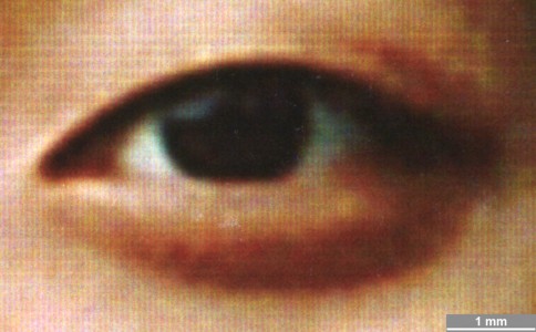 <strong>#070</strong> ⎢ <strong>Process</strong> Digital exposure to photographic material
⎢ <strong>Printer</strong> Noritsu QSS-2711 DLS (Halogen MLVA Exposure)
⎢ <strong>Media</strong> Kodak Royal Paper (chromogenic RC paper)
⎢ <strong>Ink</strong> n/a
⎢ <strong>Date</strong> 2001-07-07