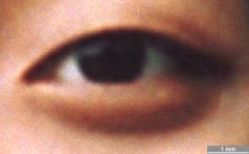 <strong>#088</strong> ⎢ <strong>Process</strong> Digital exposure to photographic material
⎢ <strong>Printer</strong> Fuji Frontier 340 (Laser Exposure)
⎢ <strong>Media</strong> Fuji Crystal Archive Supreme (chromogenic RC paper)
⎢ <strong>Ink</strong> n/a
⎢ <strong>Date</strong> 2004-05-24