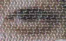 <strong>#073</strong> ⎢ <strong>Process</strong> Inkjet
⎢ <strong>Printer</strong> Epson Stylus Color 740 (Liquid Piezo Drop-on-Demand)
⎢ <strong>Media</strong> Olympus Premium PolySilk Fabric, MP-5PS4E (coated specialty media)
⎢ <strong>Ink</strong> Epson Stylus COLOR (liquid CMYK, dye based)
⎢ <strong>Date</strong> 2001-08-29