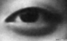 <strong>#099</strong> ⎢ <strong>Process</strong> Digital exposure to photographic material
⎢ <strong>Printer</strong> Durst Lambda (Laser Exposure)
⎢ <strong>Media</strong> unknown brand (fibre-based silver gelatine paper)
⎢ <strong>Ink</strong> n/a
⎢ <strong>Date</strong> 2005-05-01