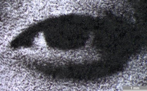 <strong>#103</strong> ⎢ <strong>Process</strong> Electrophotography
⎢ <strong>Printer</strong> Xerox Workcentre M55 (Photocopy)
⎢ <strong>Media</strong> unknown (uncoated paper)
⎢ <strong>Ink</strong> unknown (dry toner K, pigment based)
⎢ <strong>Date</strong> 2005-06-01