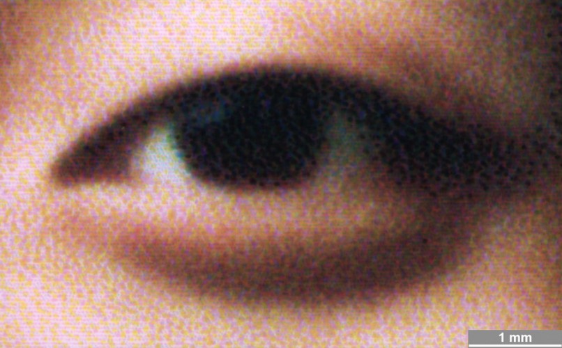 <strong>#129</strong> ⎢ <strong>Process</strong> Inkjet
⎢ <strong>Printer</strong> Canon iP6600D (Liquid Thermal Drop-on-Demand)
⎢ <strong>Media</strong> Canon (coated RC paper, porous)
⎢ <strong>Ink</strong> unknown (liquid CcMmYK, dye based)
⎢ <strong>Date</strong> 2006-10-01