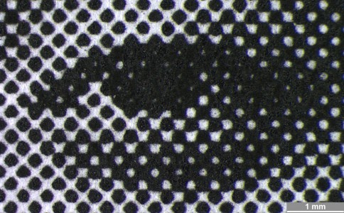 <strong>#013</strong> ⎢ <strong>Process</strong> Electrophotography
⎢ <strong>Printer</strong> HP Laser Jet 5MP (B/W laser printer)
⎢ <strong>Media</strong> unknown brand of office paper (uncoated paper)
⎢ <strong>Ink</strong> unknown (dry toner K, pigment based)
⎢ <strong>Date</strong> 1998-10-01