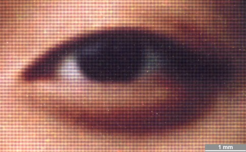 <strong>#020</strong> ⎢ <strong>Process</strong> Dye Diffusion Thermal Transfer (D2T2)
⎢ <strong>Printer</strong> Shinko Color Stream (Dye Sublimation)
⎢ <strong>Media</strong> unknown (coated RC paper)
⎢ <strong>Ink</strong> unknown (ribbon, CMY, dye based)
⎢ <strong>Date</strong> 1999-05-01