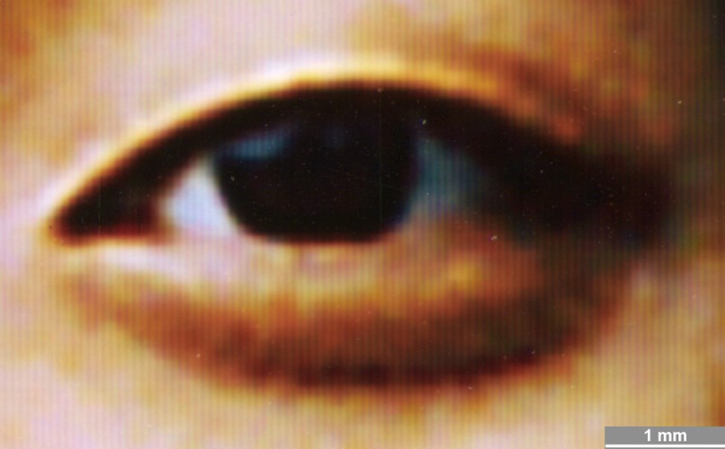 <strong>#022</strong> ⎢ <strong>Process</strong> Photothermographic Transfer
⎢ <strong>Printer</strong> Fuji Pictrography
⎢ <strong>Media</strong> Fuji Pictrography (coated RC paper)
⎢ <strong>Ink</strong> n/a
⎢ <strong>Date</strong> 2000-04-01
