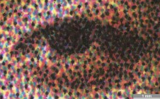 <strong>#026</strong> ⎢ <strong>Process</strong> Inkjet
⎢ <strong>Printer</strong> Encad Novajet Pro E 60'' (Piezo Continuous Large Format)
⎢ <strong>Media</strong> Tekra Ultra Banner (coated specialty media, porous)
⎢ <strong>Ink</strong> Encad GO Graphic Outdoor (unknown)
⎢ <strong>Date</strong> 1998-10-01
