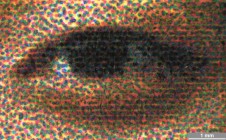 <strong>#046</strong> ⎢ <strong>Process</strong> Inkjet
⎢ <strong>Printer</strong> Epson Stylus Color 800 (Liquid Piezo Drop-on-Demand)
⎢ <strong>Media</strong> HP Photo Quality Matte (coated paper, porous)
⎢ <strong>Ink</strong> Epson Stylus Color (liquid CMYK, dye based)
⎢ <strong>Date</strong> 1998-10-01