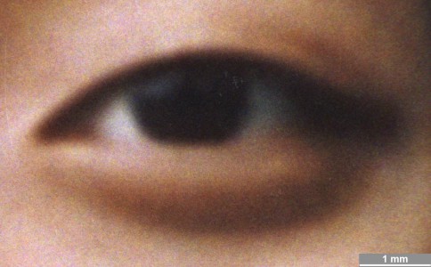 <strong>#049</strong> ⎢ <strong>Process</strong> Digital exposure to photographic material
⎢ <strong>Printer</strong> Durst Lambda 76 (Laser Exposure)
⎢ <strong>Media</strong> Kodak Professional III Digital (chromogenic RC paper)
⎢ <strong>Ink</strong> n/a
⎢ <strong>Date</strong> 2000-08-24