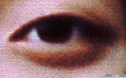 <strong>#053</strong> ⎢ <strong>Process</strong> Inkjet
⎢ <strong>Printer</strong> Epson Stylus Photo 870 (Liquid Piezo Drop-on-Demand)
⎢ <strong>Media</strong> Zweckform Inkjet Glossy-Folie No. 2505 (coated plastic, swellable)
⎢ <strong>Ink</strong> Epson T007 (K), T008 (colors) (liquid CcMmYK, dye based)
⎢ <strong>Date</strong> 2000-07-30
