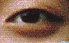 <strong>#055</strong> ⎢ <strong>Process</strong> Inkjet
⎢ <strong>Printer</strong> Epson Stylus Photo 870 (Liquid Piezo Drop-on-Demand)
⎢ <strong>Media</strong> Zweckform Inkjet-Papier Leinenstruktur No. 32064, 150g (coated paper, porous)
⎢ <strong>Ink</strong> Epson T007 (K), T008 (colors) (liquid CcMmYK, dye based)
⎢ <strong>Date</strong> 2000-07-30