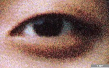 <strong>#058</strong> ⎢ <strong>Process</strong> Inkjet
⎢ <strong>Printer</strong> Epson Stylus Photo 2000P (Liquid Piezo Drop-on-Demand)
⎢ <strong>Media</strong> Epson Premium Glossy Photo Paper, No. SO41316 (coated RC paper, porous)
⎢ <strong>Ink</strong> Epson T015 (K), T016 (colors) (liquid CcMmYK, pigment based)
⎢ <strong>Date</strong> 2000-07-30