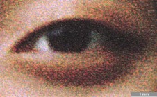 <strong>#064</strong> ⎢ <strong>Process</strong> Inkjet
⎢ <strong>Printer</strong> Epson Stylus Photo 2000P (Liquid Piezo Drop-on-Demand)
⎢ <strong>Media</strong> Epson Archival Matte Paper No. SO41341 (coated paper, porous)
⎢ <strong>Ink</strong> Epson T015 (K), T016 (colors) (liquid CcMmYK, pigment based)
⎢ <strong>Date</strong> 2001-05-30