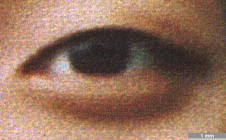 <strong>#086</strong> ⎢ <strong>Process</strong> Inkjet
⎢ <strong>Printer</strong> Epson Stylus Photo 2200 (Liquid Piezo Drop-on-Demand)
⎢ <strong>Media</strong> Epson Matte Paper Heavyweight SO41257 (coated paper)
⎢ <strong>Ink</strong> Epson TO341, 347, 342, 345, 343, 346, 344 (liquid CcMmYKk, pigment based)
⎢ <strong>Date</strong> 2004-03-31
