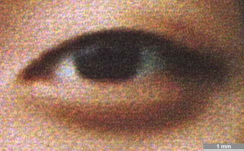 <strong>#086</strong> ⎢ <strong>Process</strong> Inkjet
⎢ <strong>Printer</strong> Epson Stylus Photo 2200 (Liquid Piezo Drop-on-Demand)
⎢ <strong>Media</strong> Epson Matte Paper Heavyweight SO41257 (coated paper)
⎢ <strong>Ink</strong> Epson TO341, 347, 342, 345, 343, 346, 344 (liquid CcMmYKk, pigment based)
⎢ <strong>Date</strong> 2004-03-31