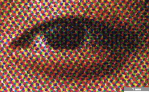 <strong>#096</strong> ⎢ <strong>Process</strong> Electrophotography
⎢ <strong>Printer</strong> Oki C5400 (Color Laser Printer)
⎢ <strong>Media</strong> unknown copy paper (uncoated paper)
⎢ <strong>Ink</strong> unknown toner (dry toner CMYK, pigment based)
⎢ <strong>Date</strong> 30/11/2004