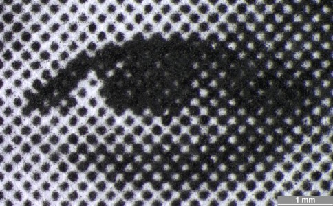 <strong>#102</strong> ⎢ <strong>Process</strong> Electrophotography
⎢ <strong>Printer</strong> Xerox Workcentre M55 (Photocopy)
⎢ <strong>Media</strong> unknown (uncoated paper)
⎢ <strong>Ink</strong> unknown (dry toner K, pigment based)
⎢ <strong>Date</strong> 2005-06-01