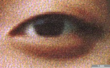 <strong>#110</strong> ⎢ <strong>Process</strong> Inkjet
⎢ <strong>Printer</strong> Epson Stylus Photo 2200 (Liquid Piezo Drop-on-Demand)
⎢ <strong>Media</strong> Epson Enhanced Matte Paper (coated paper)
⎢ <strong>Ink</strong> Epson inks (liquid CcMmYKK, pigment based)
⎢ <strong>Date</strong> 2006-02-01