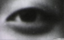 <strong>#111</strong> ⎢ <strong>Process</strong> Digital exposure to photographic material
⎢ <strong>Printer</strong> Variochromat (CRT Exposure)
⎢ <strong>Media</strong> Ilford Wamtone Multigrade FB (fibre-based silver gelatine paper)
⎢ <strong>Ink</strong> n/a
⎢ <strong>Date</strong> 2006-09-19