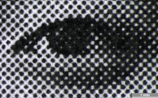 <strong>#114</strong> ⎢ <strong>Process</strong> Electrophotography
⎢ <strong>Printer</strong> Xerox Workcentre Pro 35 (Photocopy)
⎢ <strong>Media</strong> Boise X-9 (uncoated paper)
⎢ <strong>Ink</strong> unknown (dry toner K, pigment based)
⎢ <strong>Date</strong> 2006-10-09