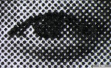 <strong>#114</strong> ⎢ <strong>Process</strong> Electrophotography
 ⎢ <strong>Printer</strong> Xerox Workcentre Pro 35 (Photocopy)
 ⎢ <strong>Media</strong> Boise X-9 (uncoated paper)
 ⎢ <strong>Ink</strong> unknown (dry toner K, pigment based)
 ⎢ <strong>Date</strong> 2006-10-09