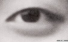 <strong>#167</strong> ⎢ <strong>Process</strong> Digital exposure to photographic material
⎢ <strong>Printer</strong> Océ Lightjet 5000 (Laser Exposure)
⎢ <strong>Media</strong> Ilford FB Galerie Digital (fibre-based silver gelatine paper)
⎢ <strong>Ink</strong> n/a
⎢ <strong>Date</strong> 2007-10-01