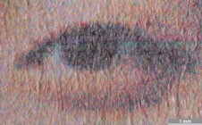 <strong>#173</strong> ⎢ <strong>Process</strong> Inkjet
⎢ <strong>Printer</strong> Epson Stylus Photo (Liquid Piezo Drop-on-Demand)
⎢ <strong>Media</strong> Weyerhäuser Image Print Ink Jet Paper (specially sized paper)
⎢ <strong>Ink</strong> Epson (liquid CcMmYK, dye based)
⎢ <strong>Date</strong> 2001-07-01