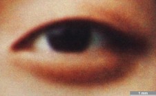 <strong>#183</strong> ⎢ <strong>Process</strong> Digital exposure to photographic material
⎢ <strong>Printer</strong> Durst Lambda (Laser Exposure)
⎢ <strong>Media</strong> Fuji Crystal Archive DP II, glossy (chromogenic RC paper)
⎢ <strong>Ink</strong> n/a
⎢ <strong>Finishing</strong> back-mounted to Lumabond Pro III (aluminum-PE laminate board), silicone rubber face-mounted to glossy PMMA (2 mm Lumasec Esprit) ⎢
<strong>Date</strong> 2012-01-02