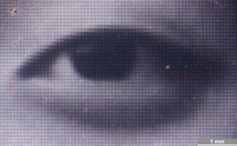 <strong>#018</strong> ⎢ <strong>Process</strong> Dye Diffusion Thermal Transfer (D2T2)
⎢ <strong>Printer</strong> QMS Color Script 330 (Dye Sublimation)
⎢ <strong>Media</strong> unknown (coated RC paper)
⎢ <strong>Ink</strong> unknown (ribbon, CMYK, dye based)
⎢ <strong>Date</strong> 1999-05-01
