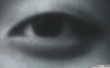 <strong>#111, Mellon Sample #4</strong> ⎢ <strong>Process</strong> Digital exposure to photographic material
⎢ <strong>Printer</strong> Variochromat (CRT Exposure)
⎢ <strong>Media</strong> Ilford Wamtone Multigrade FB (fibre-based silver gelatine paper)
⎢ <strong>Ink</strong> n/a
⎢ <strong>Date</strong> 2006-09-19