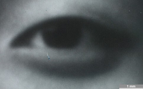 <strong>#111, Mellon Sample #4</strong> ⎢ <strong>Process</strong> Digital exposure to photographic material
⎢ <strong>Printer</strong> Variochromat (CRT Exposure)
⎢ <strong>Media</strong> Ilford Wamtone Multigrade FB (fibre-based silver gelatine paper)
⎢ <strong>Ink</strong> n/a
⎢ <strong>Date</strong> 2006-09-19