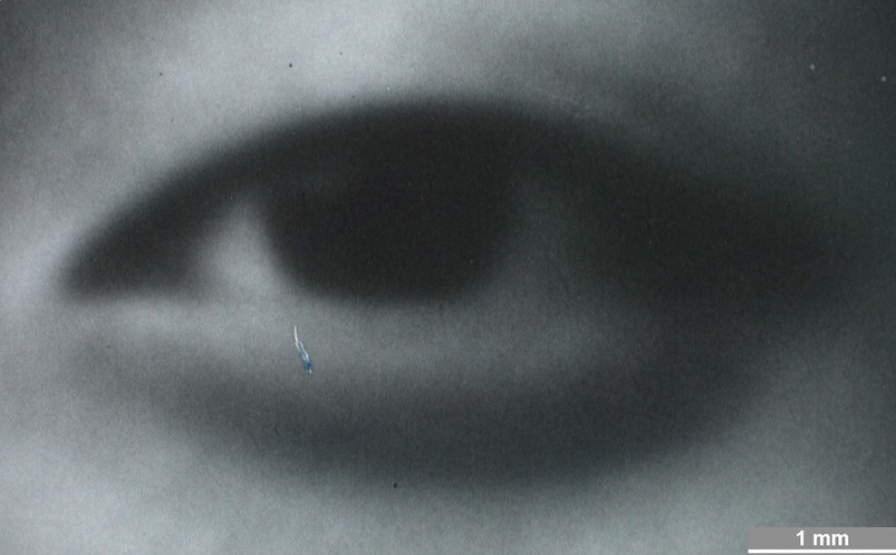 <strong>#111, Mellon Sample #4</strong> ⎢ <strong>Process</strong> Digital exposure to photographic material
⎢ <strong>Printer</strong> Variochromat (CRT Exposure)
⎢ <strong>Media</strong> Ilford Wamtone Multigrade FB (fibre-based silver gelatine paper)
⎢ <strong>Ink</strong> n/a
⎢ <strong>Date</strong> 2006-09-19