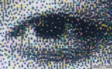 <strong>#157</strong> ⎢ <strong>Process</strong> Inkjet
⎢ <strong>Printer</strong> Tektronix Phaser 8200 (Phase-Change Piezo Drop-on-Demand)
⎢ <strong>Media</strong> unknown brand of office paper (uncoated paper)
⎢ <strong>Ink</strong> unknown (wax CMYK, pigment based)
⎢ <strong>Date</strong> 2007-02-01