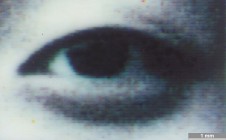 <strong>#174</strong> ⎢ <strong>Process</strong> Direct Thermal (ZINK)
⎢ <strong>Printer</strong> Polaroid PoGo (ZINK printer)
⎢ <strong>Media</strong> ZINK Photo Paper AZU-03011BE (ZINK RC-paper)
⎢ <strong>Ink</strong> n/a
⎢ <strong>Date</strong> 2008-07-20