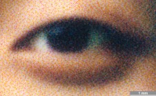 <strong>#212</strong> ⎢ <strong>Process</strong> Inkjet
⎢ <strong>Printer</strong> Epson 9900 (Liquid Piezo Drop-on-Demand)
⎢ <strong>Media</strong> Tetenal Photo Satin 270g (coated RC paper, porous)
⎢ <strong>Ink</strong> Epson Ultrachrome HD /11 colours (liquid 11-colour ink, pigment based)
⎢ <strong>Date</strong> 2016-06-01