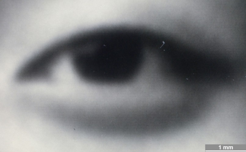 <strong>#227</strong> ⎢ <strong>Process</strong> Digital exposure to photographic material
⎢ <strong>Printer</strong> Durst Lambda (Laser Exposure)
⎢ <strong>Media</strong> Ilford (fibre-based silver gelatine paper)
⎢ <strong>Ink</strong> n/a
⎢ <strong>Date</strong> 2016-06-01