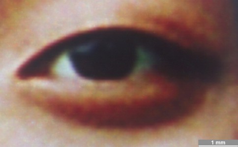 <strong>#239</strong> ⎢ <strong>Process</strong> Dye Diffusion Thermal Transfer (D2T2)
⎢ <strong>Printer</strong> HiTi inPhoto P510K (Dye Sublimation)
⎢ <strong>Media</strong> HiTi Thermal Photo Paper (matte) (coated RC paper)
⎢ <strong>Ink</strong> (ribbon, CMY, dye based)
⎢ <strong>Date</strong> 2012-05-22