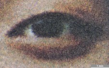 <strong>#255</strong> ⎢ <strong>Process</strong> Inkjet
⎢ <strong>Printer</strong> Epson Stylus Photo R3000 (Liquid Piezo Drop-on-Demand)
⎢ <strong>Media</strong> Rising Museum Board, 2-ply (uncoated paper)
⎢ <strong>Ink</strong> Epson Ultrachrome K3 (liquid CcMmYKkk, pigment based)
⎢ <strong>Date</strong> 2012-06-01