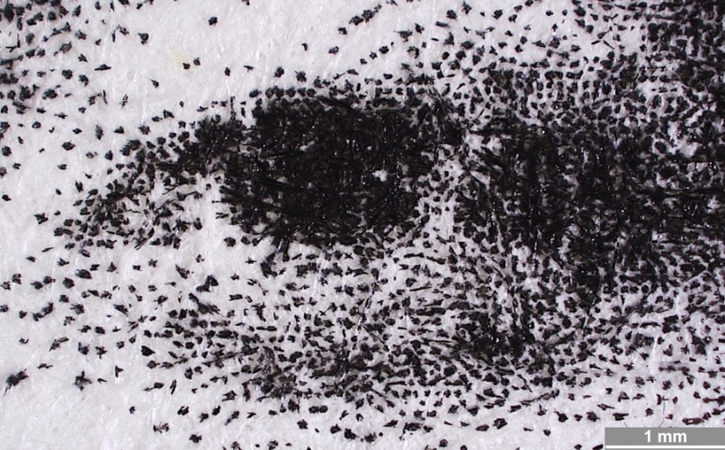 <strong>#283</strong> ⎢ <strong>Process</strong> Digital stencil printing
⎢ <strong>Printer</strong> Riso RP3700 (Risography copier/printer)
⎢ <strong>Media</strong> Munken Print White 90g/m2 (uncoated paper)
⎢ <strong>Ink</strong> Riso K ink (type unknown)
⎢ <strong>Settings</strong> FM screen
⎢ <strong>Date</strong> 2018-06-01